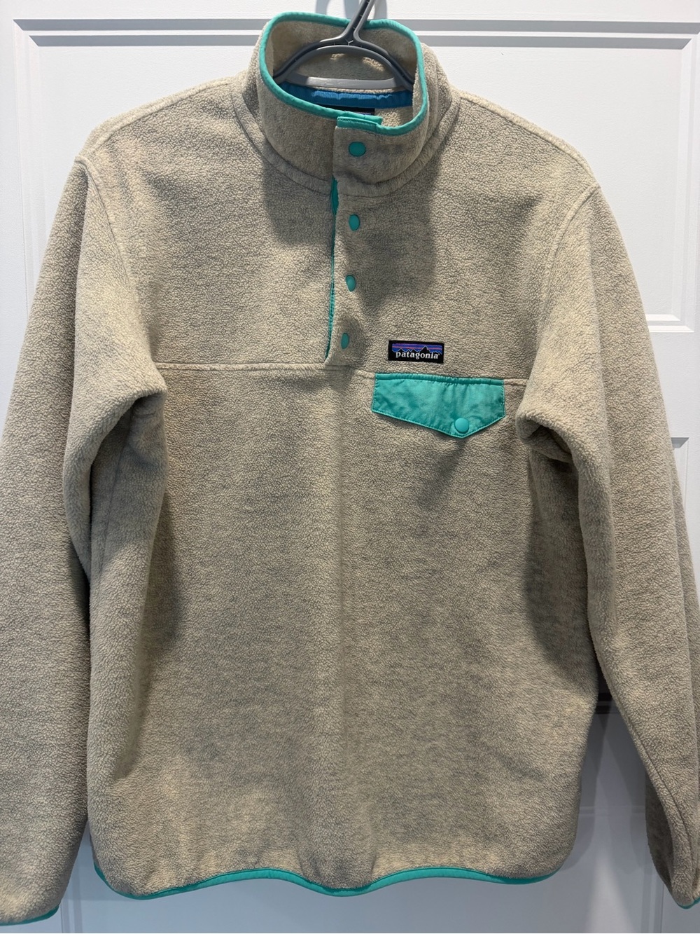 Patagonia Women’s Fleece Pullover with Teal Trim
